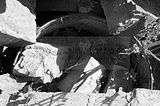 burnt down house 1_015